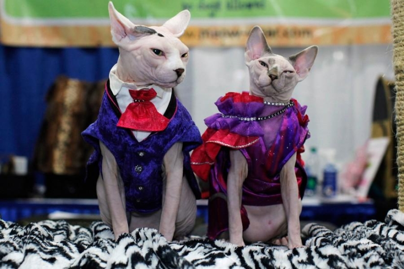 Animals and people Animals and people