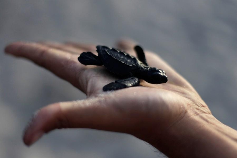 Animals and people Animals and people