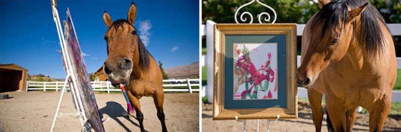 Animals that blew up the Internet