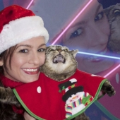 Animals that can't stand Christmas and New Year