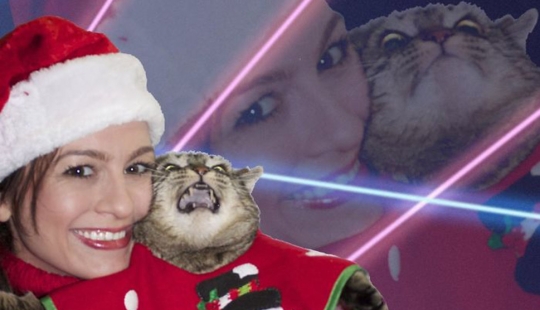 Animals that can't stand Christmas and New Year