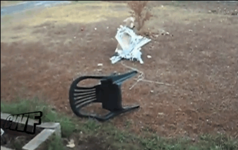 Animals that don't have a good day