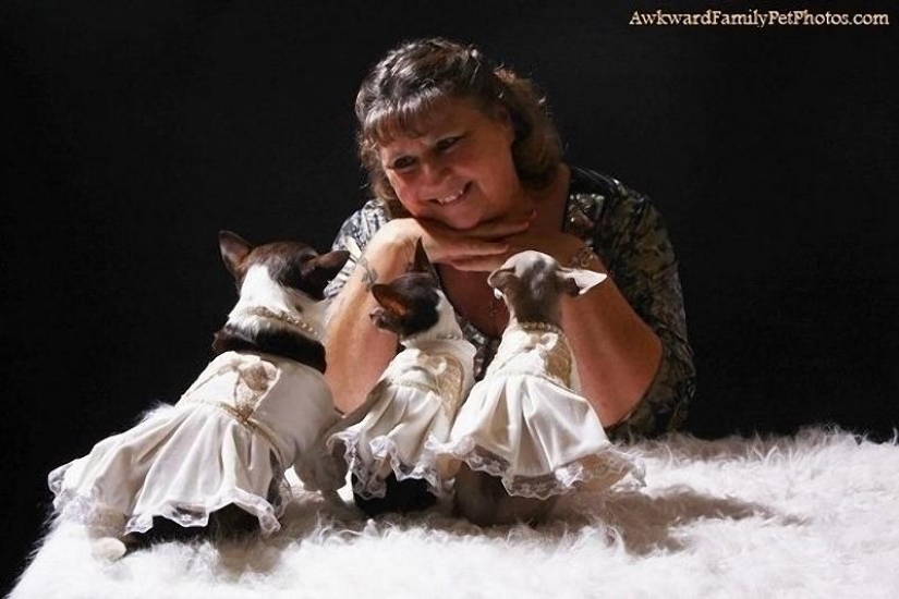 Animals that don't have a good day