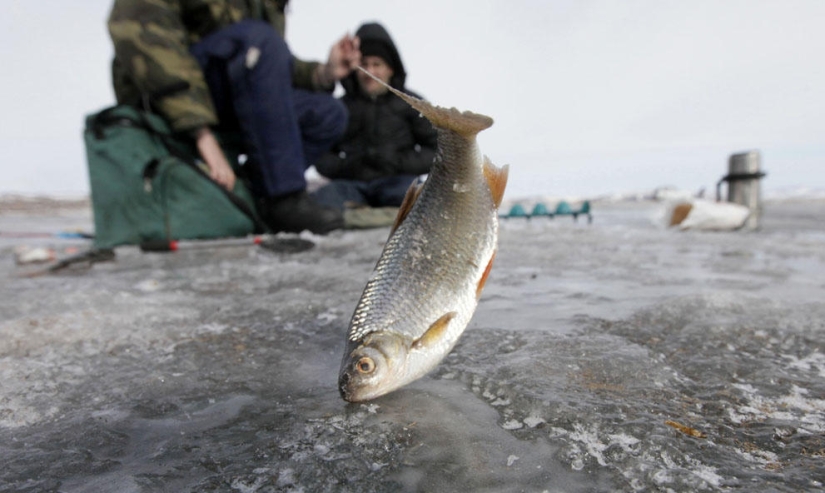 Año en el río Yenisei Año en el río Yenisei