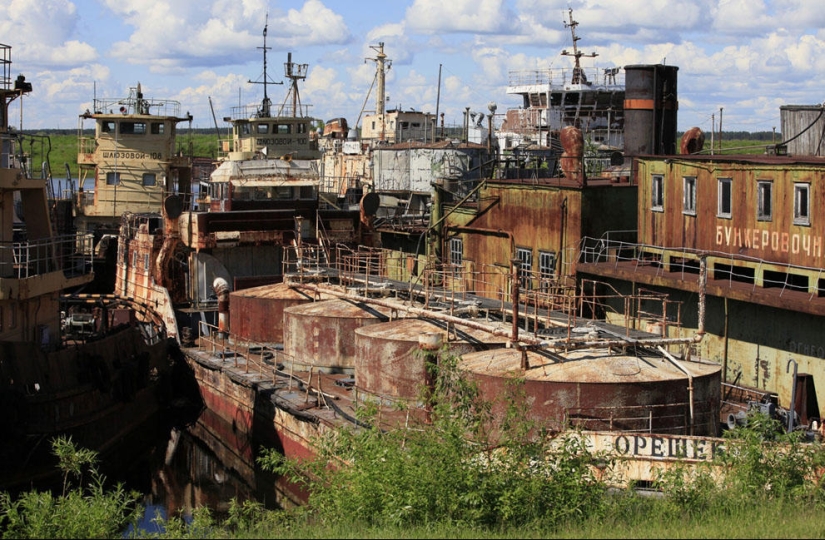 Año en el río Yenisei Año en el río Yenisei