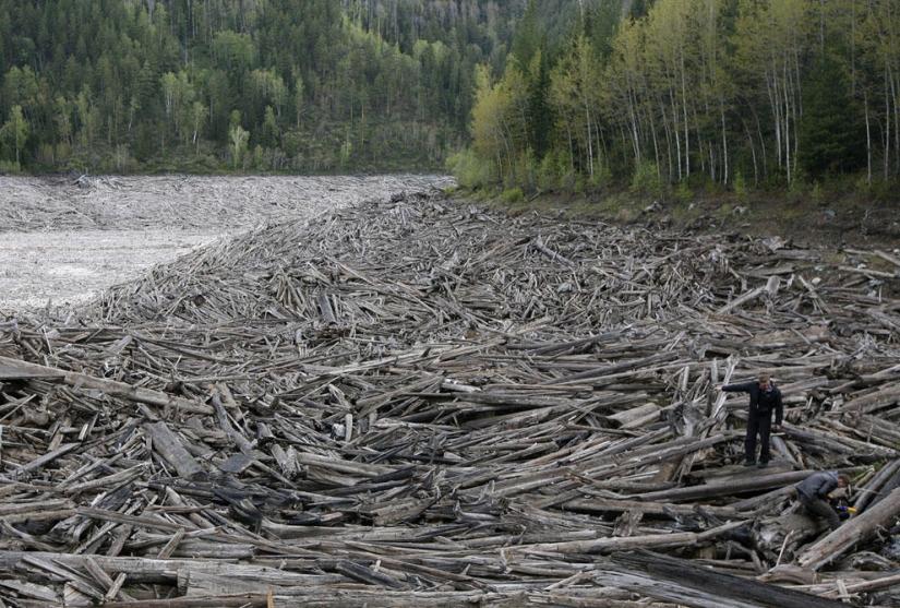 Año en el río Yenisei Año en el río Yenisei