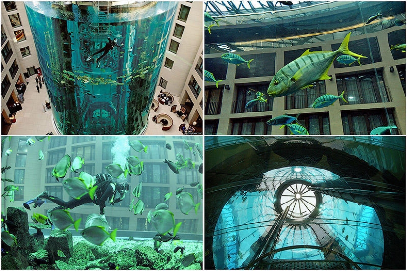 Aquadom - a huge aquarium at the Radisson Blu Hotel Aquadom - a huge aquarium at the Radisson Blu Hotel