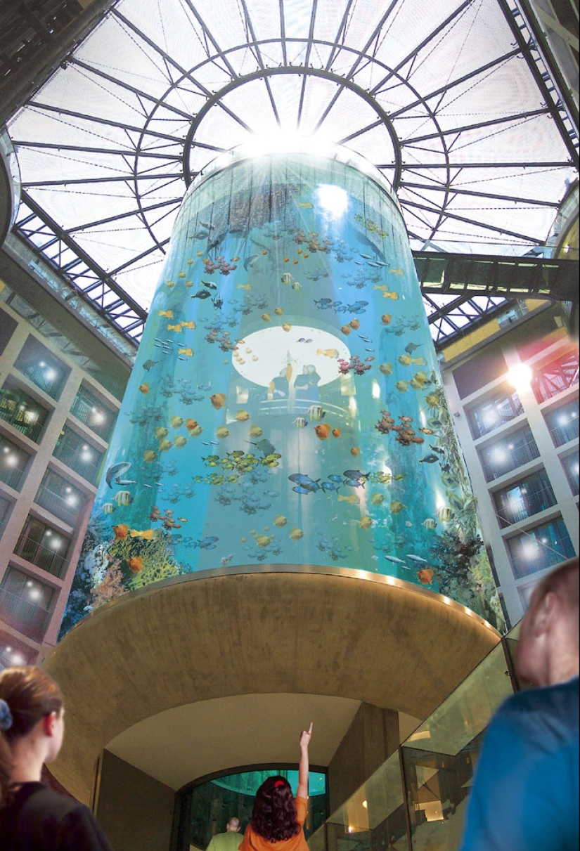 Aquadom - a huge aquarium at the Radisson Blu Hotel Aquadom - a huge aquarium at the Radisson Blu Hotel