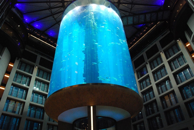 Aquadom - a huge aquarium at the Radisson Blu Hotel Aquadom - a huge aquarium at the Radisson Blu Hotel