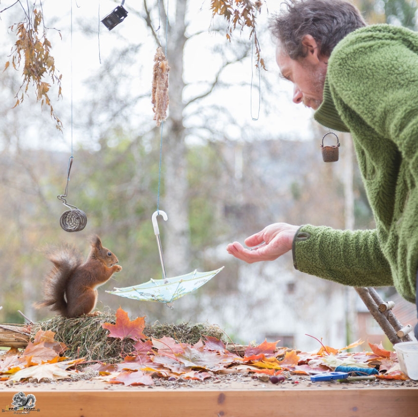 Ardillas desde la ventana: ¡es increíble!
