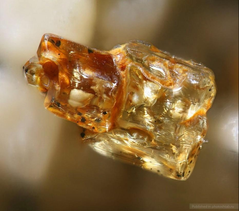 Arena bajo el microscopio Arena bajo el microscopio