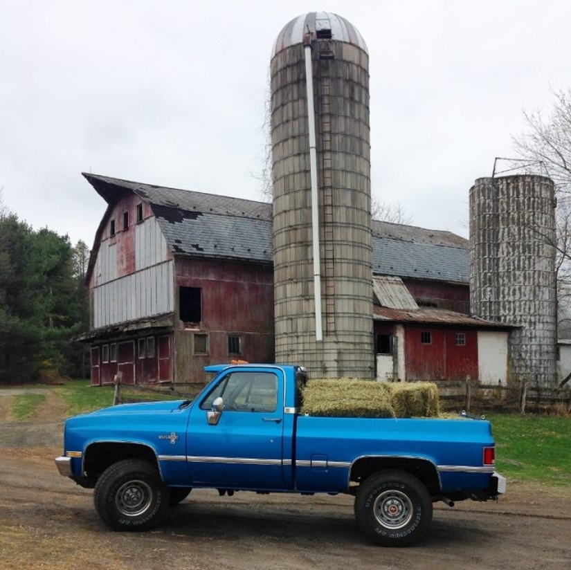 Arribista renunció al trabajo duro para criar cabras huérfanas Arribista renunció al trabajo duro para criar cabras huérfanas