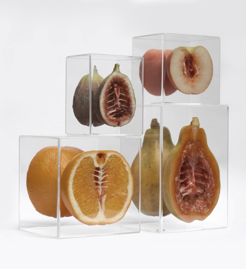 Arte al límite por Monica Piloni Arte al límite por Monica Piloni