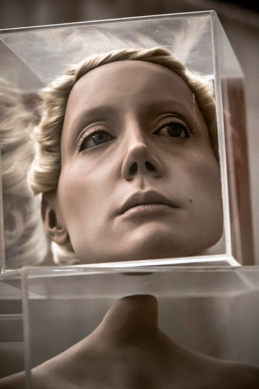 Arte al límite por Monica Piloni Arte al límite por Monica Piloni