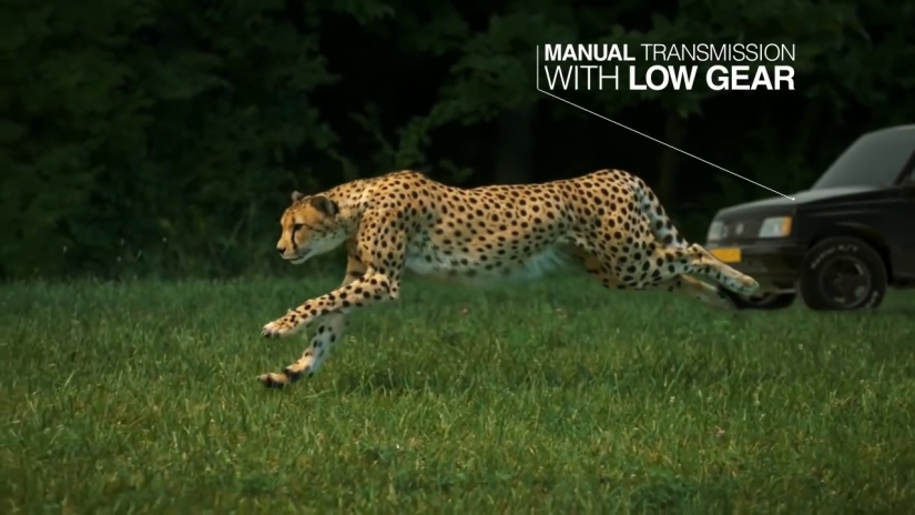 Artista de efectos especiales vende un Jeep viejo: ahora 2 millones de personas quieren comprarlo Artista de efectos especiales vende un Jeep viejo: ahora 2 millones de personas quieren comprarlo