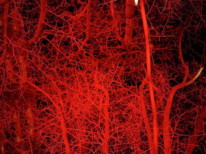 Así es uno de los barrios rojos más antiguos de Berlín Así es uno de los barrios rojos más antiguos de Berlín