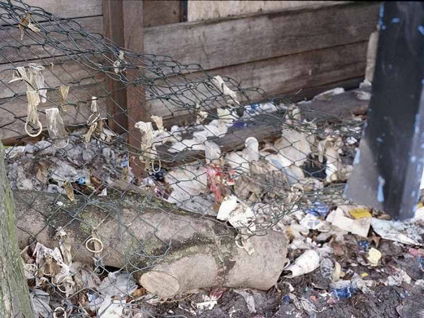 Así es uno de los barrios rojos más antiguos de Berlín Así es uno de los barrios rojos más antiguos de Berlín