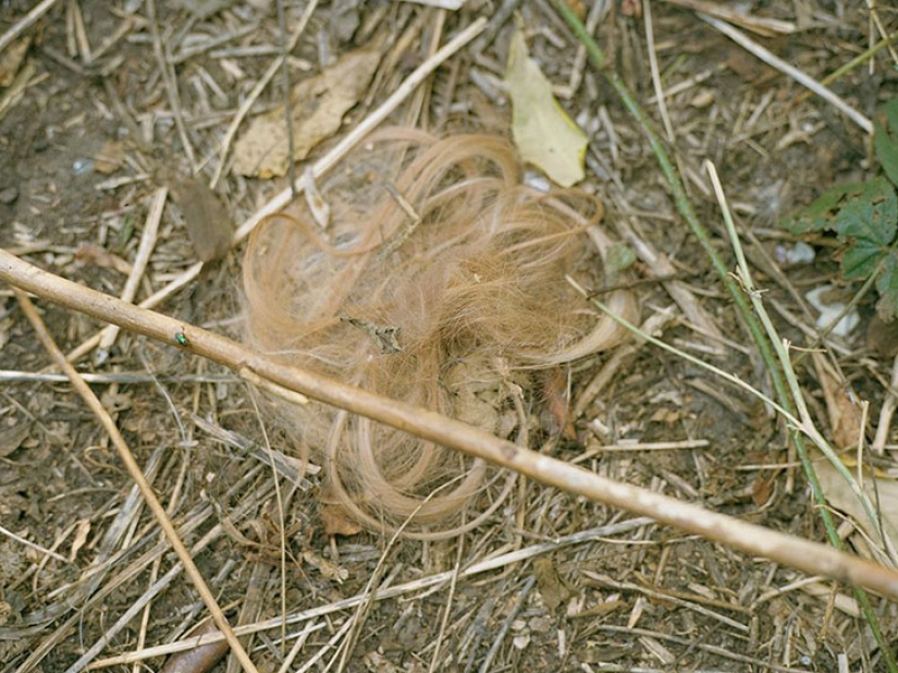 Así es uno de los barrios rojos más antiguos de Berlín Así es uno de los barrios rojos más antiguos de Berlín