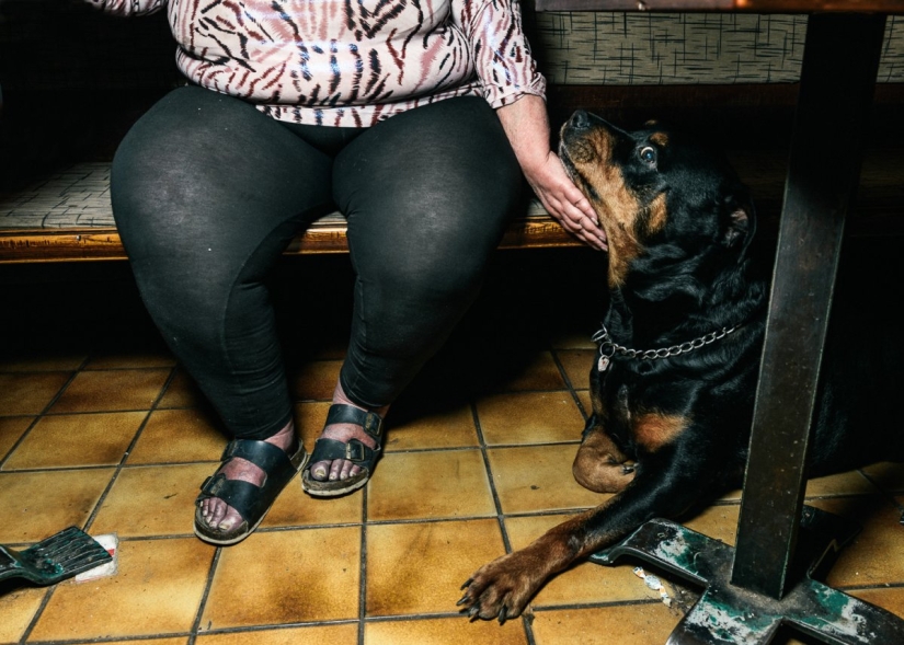 At the Bottom: Vanishing Viennese eateries for the urban poor