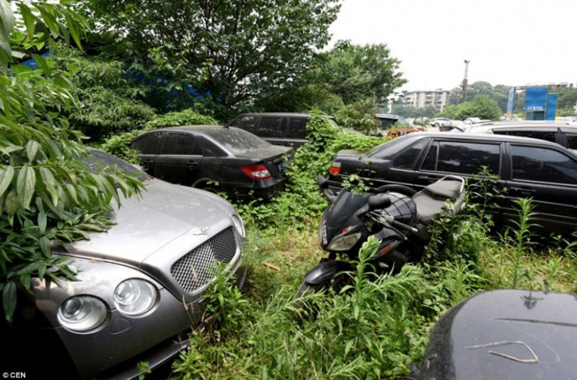 At the Chinese cemetery of luxury cars At the Chinese cemetery of luxury cars