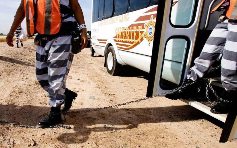 Atadas en una cadena: prisionera la vida cotidiana de las prisioneras en una de las prisiones de EE.UU.