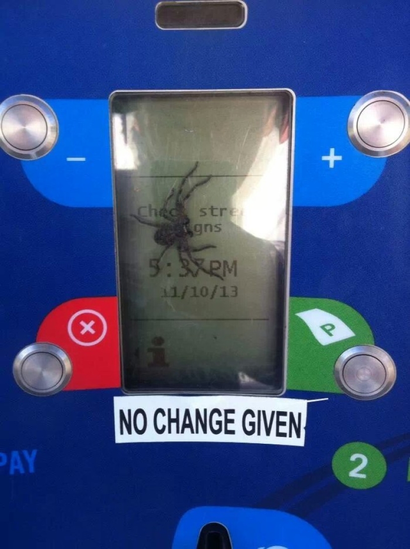 Australian animals that don't care about your stereotypes Australian animals that don't care about your stereotypes