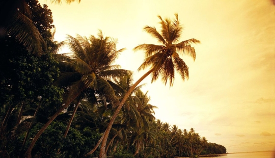 Australian wins Tropical island in online lottery