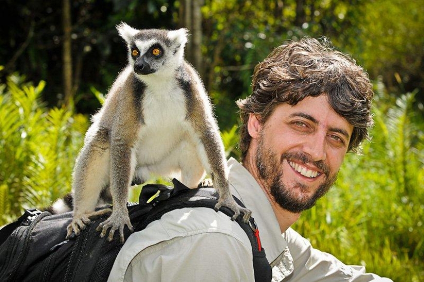 Autorretratos de lémures Autorretratos de lémures