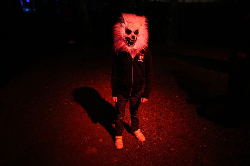 Autumn is in the air