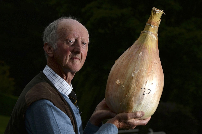 Autumn is in the air