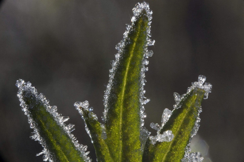 Autumn is in the air