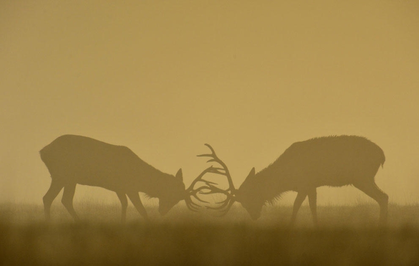 Autumn is in the air