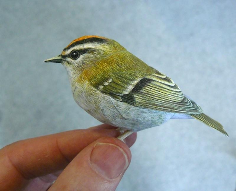 Aves de papel 3D increíblemente realistas Aves de papel 3D increíblemente realistas