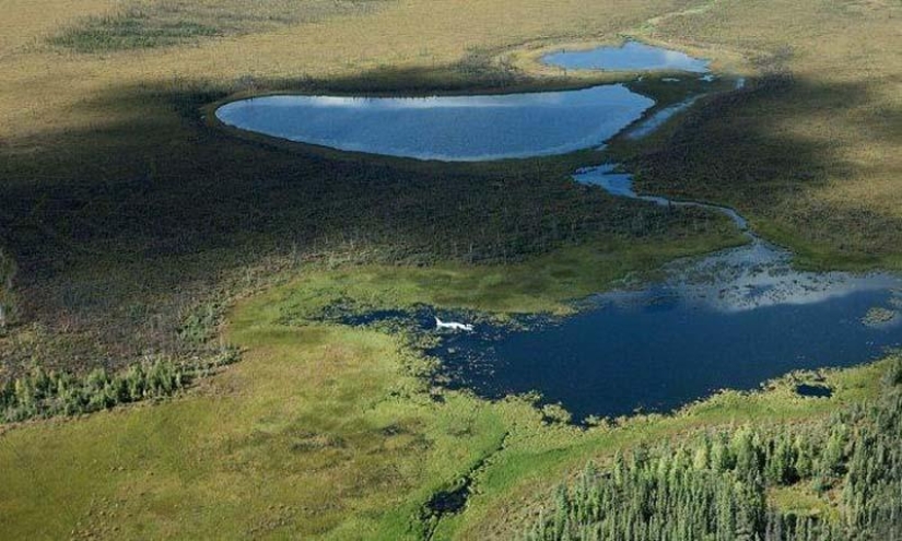 Avión se estrella con final feliz