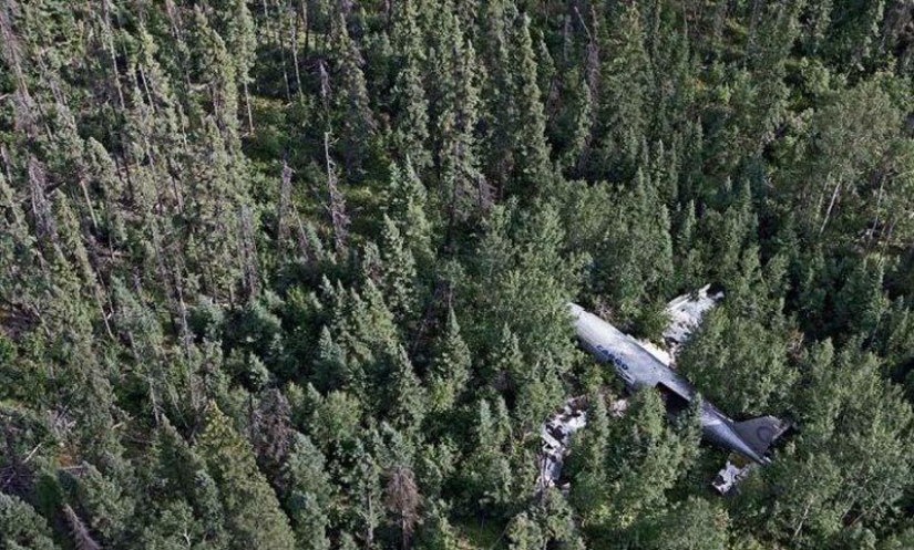 Avión se estrella con final feliz