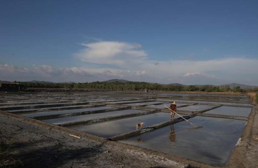 azúcar y sal azúcar y sal