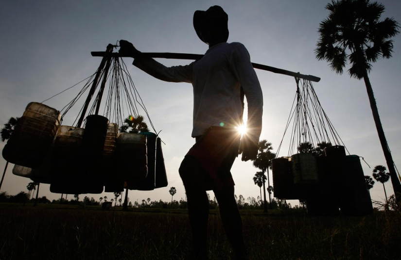 azúcar y sal azúcar y sal