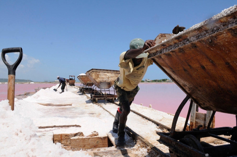 azúcar y sal azúcar y sal