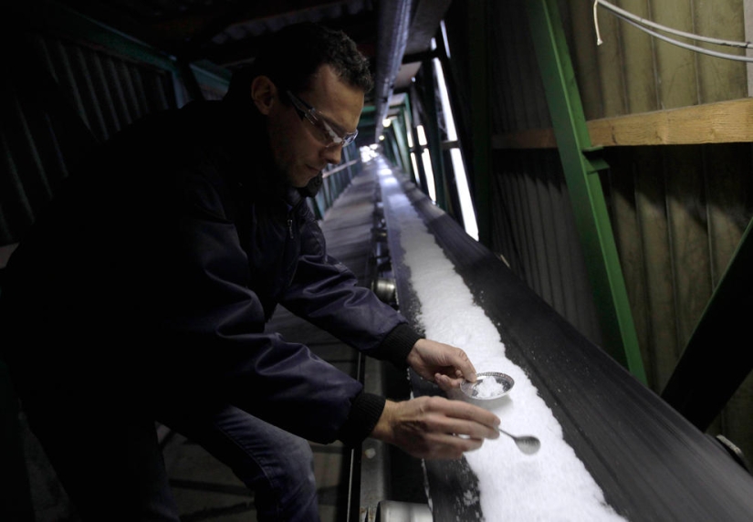 azúcar y sal azúcar y sal