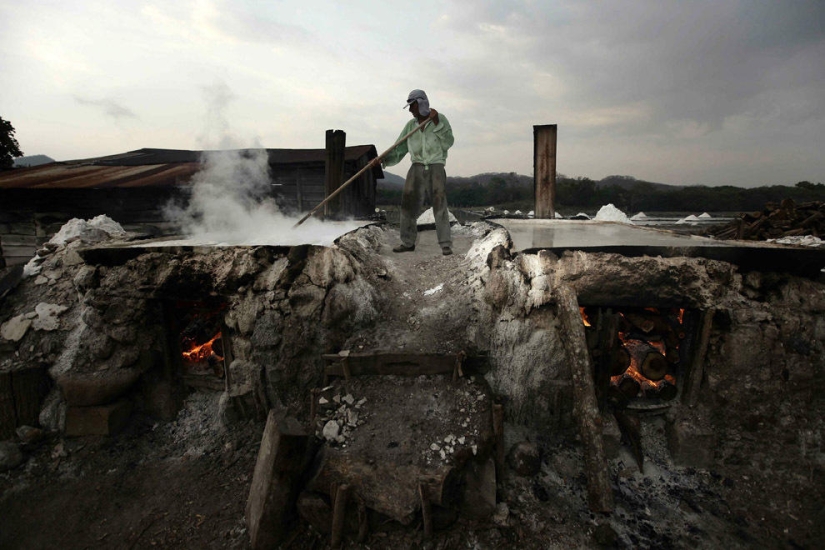 azúcar y sal azúcar y sal