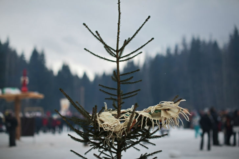 &quot;Bakshevskaya Maslitsa&quot; in a secret glade in the Moscow region