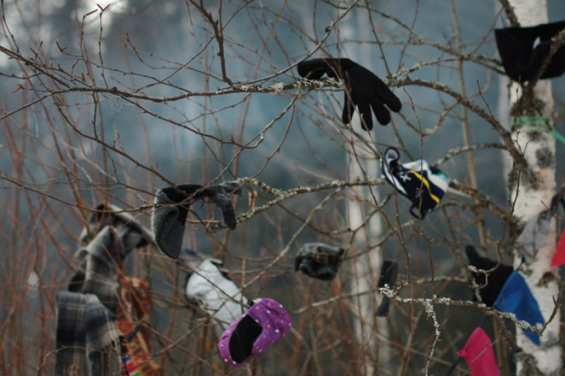 &quot;Bakshevskaya Maslitsa&quot; in a secret glade in the Moscow region