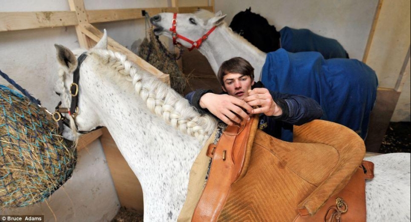 Ballet school for horses Ballet school for horses