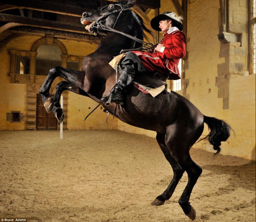 Ballet school for horses Ballet school for horses