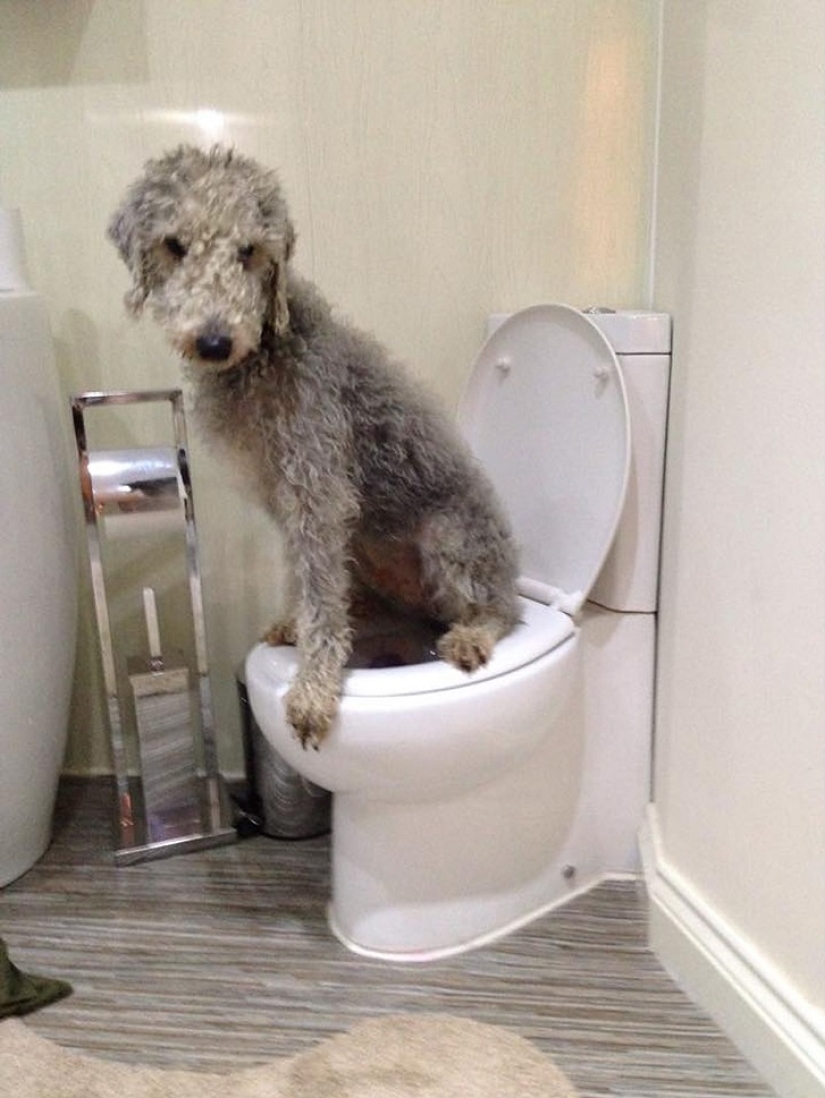 Barry "I will ride the bike for a long time" from England