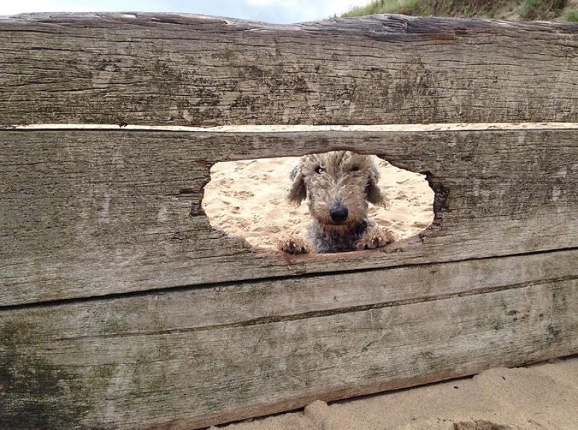 Barry "I will ride the bike for a long time" from England