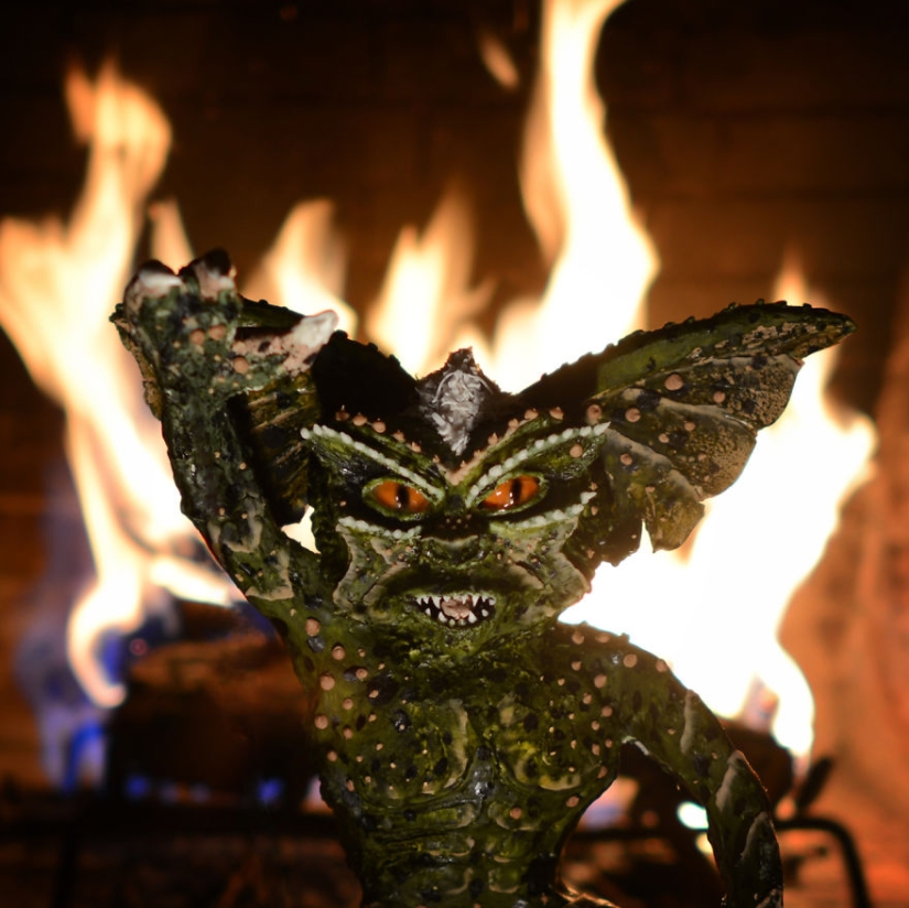 Battle of two edible gremlins