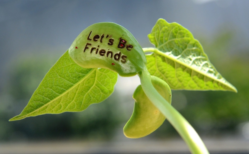 Beans meaning pain Beans meaning pain