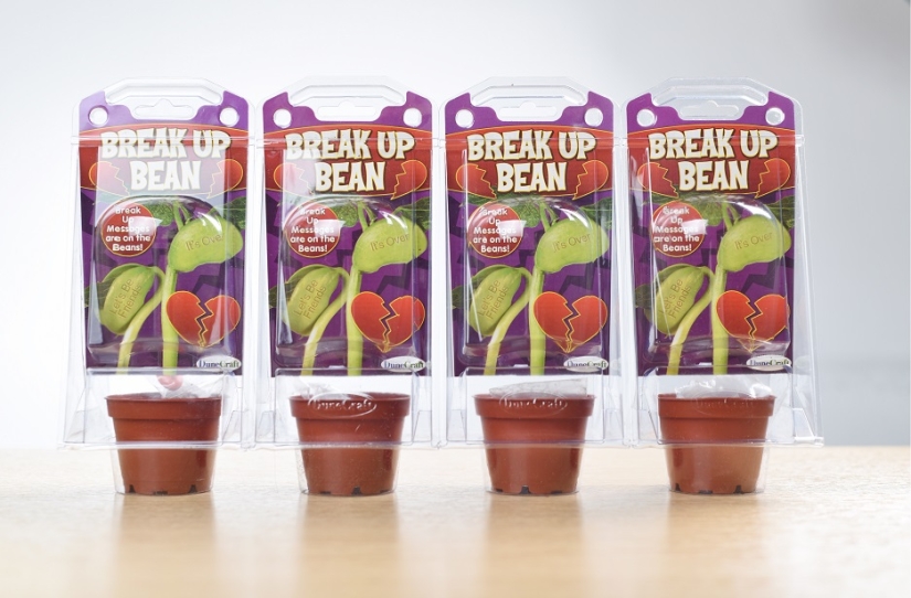 Beans meaning pain Beans meaning pain