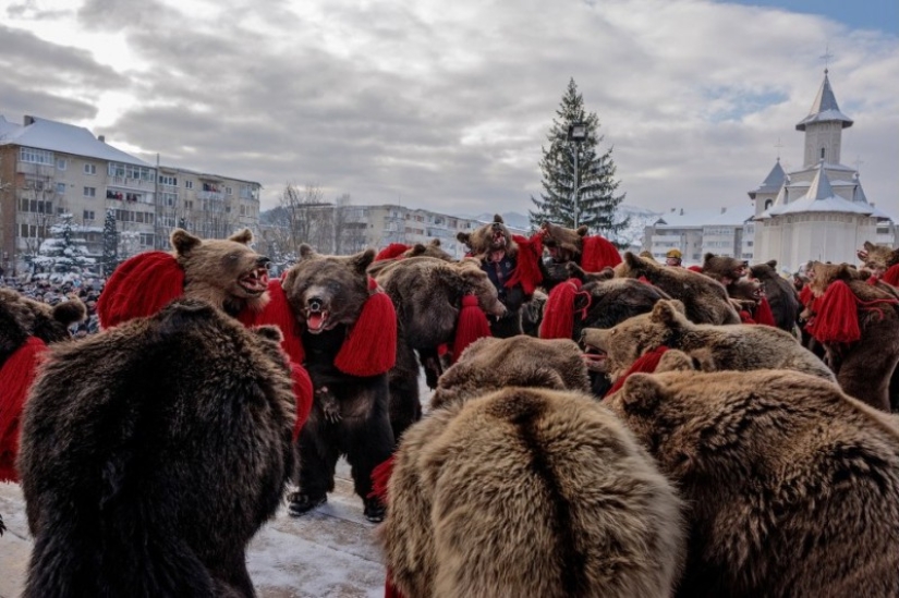 Bear dances in Romania to ward off evil spirits